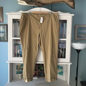 NWT avenue capris with cute details